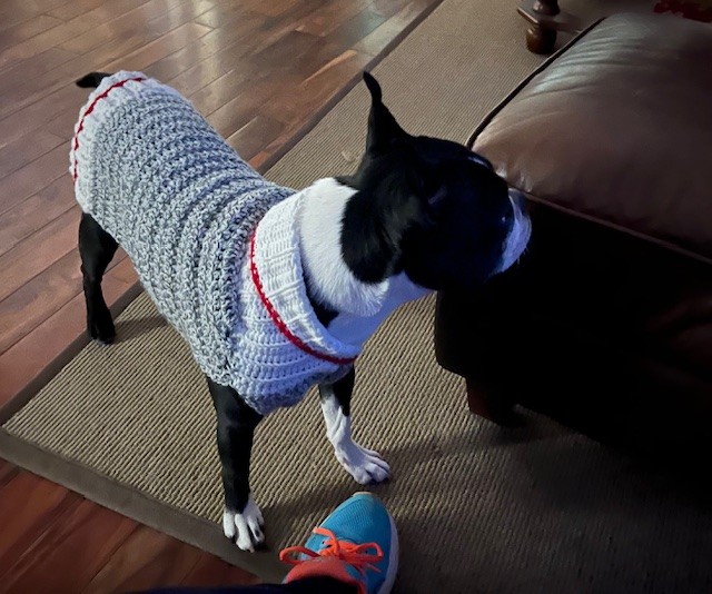 Work Sock Pet Sweater